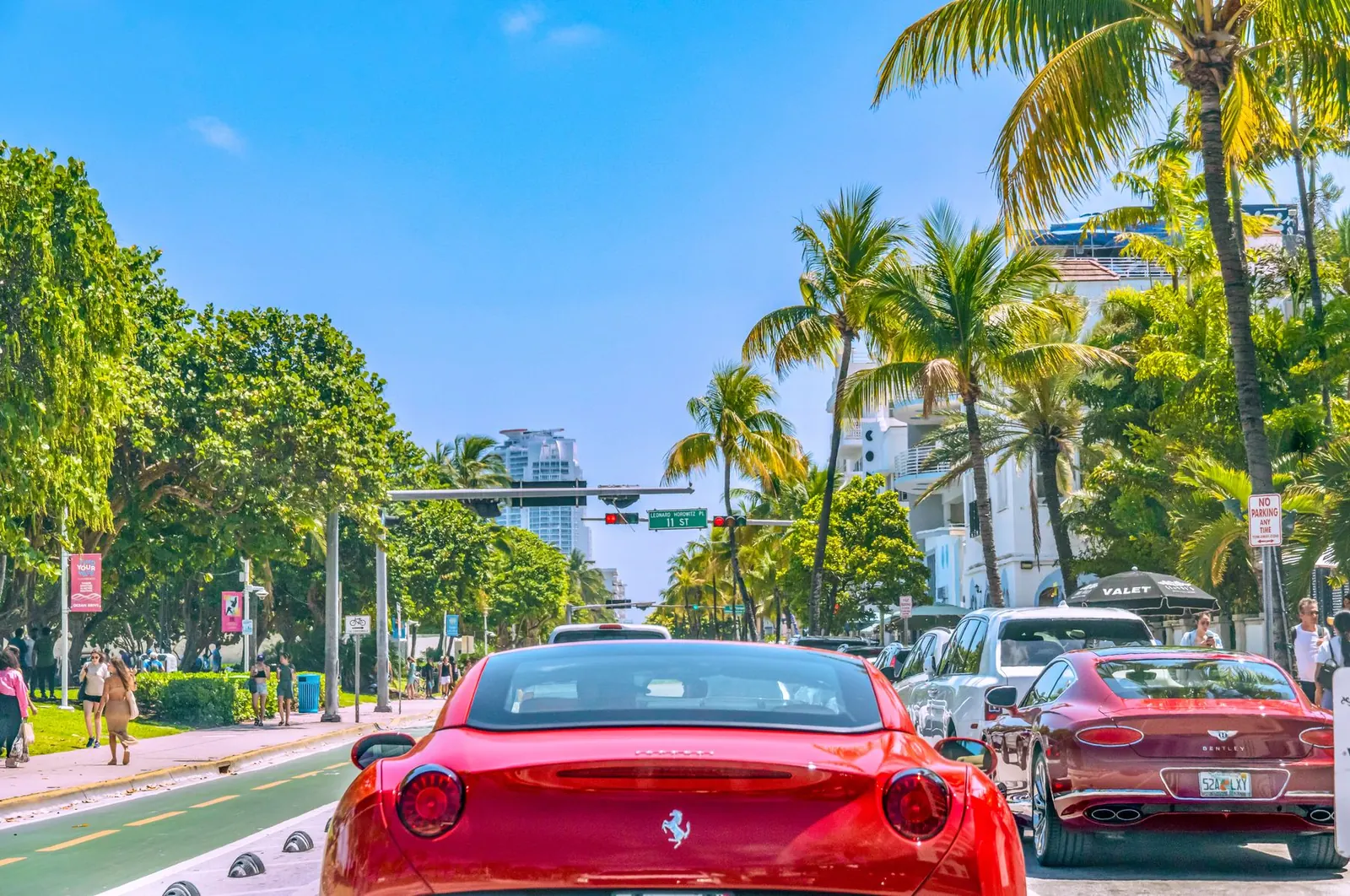 Autos circulando entre palmeras en Ocean Drive, Miami Beach