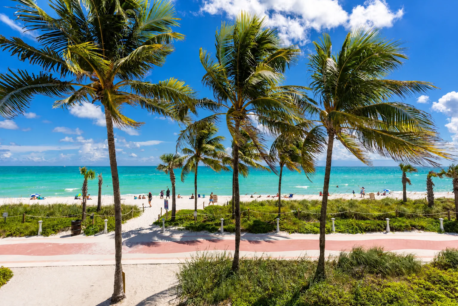 Playa real de Miami Beach vista entre palmeras
