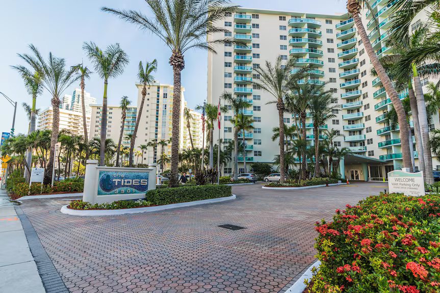 The Tides, vista 4